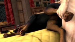 Man Fucking a Doberman (Scrungusbungus) - rule34 animation on Crohasit