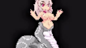 Random Tits Random Game - 2D animation on Crohasit