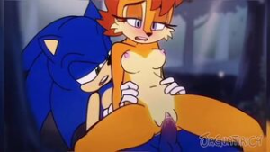 Sally and Sonic - Sonic the Hedgehog animation on Crohasit