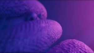 Snake Box - ﻿3D animation on Crohasit