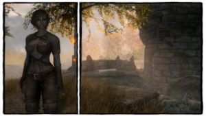 Why Troll Pet - The Elder Scrolls V: Skyrim animation on Crohasit