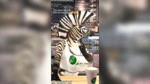 Zahira at your service - ﻿3D animation on Crohasit