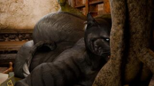 [Zenith741] Khajiit Double Team - ﻿3D animation on Crohasit