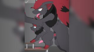 Zorak and Zorua - Pokemon animation on Crohasit