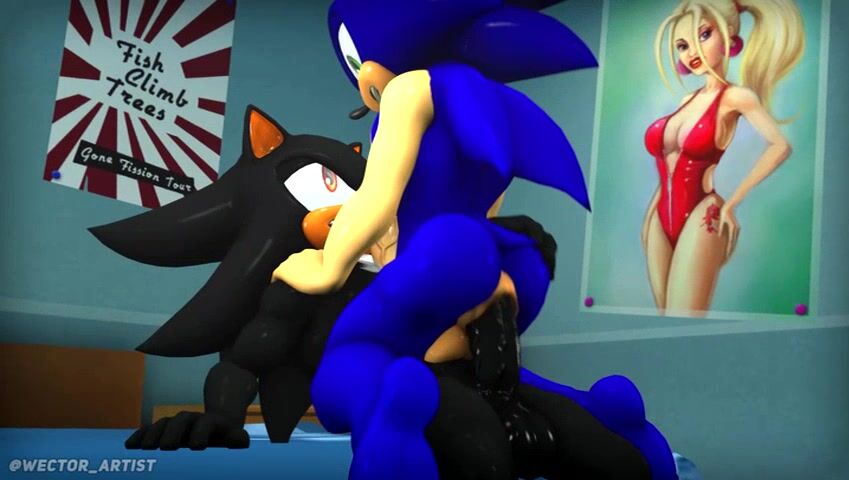 Sonic Riding Shadow - Sonic the Hedgehog animation on Crohasit