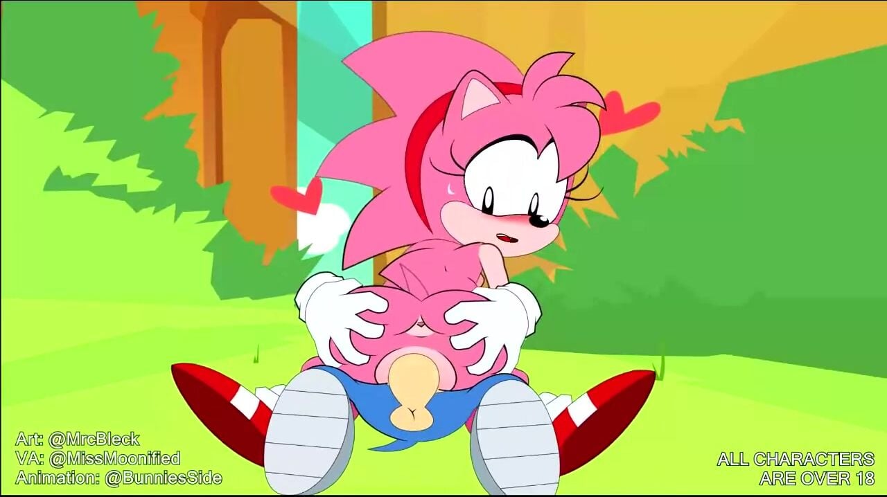 Amy Riding Sonic - Sonic the Hedgehog animation on Crohasit