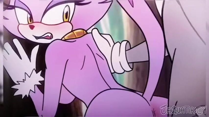 Silver Cum Inside Blaze Pussy [Jaguatiric4] - Sonic the Hedgehog animation on Crohasit